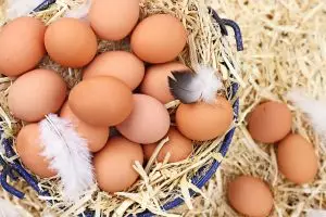 photo of fresh eggs